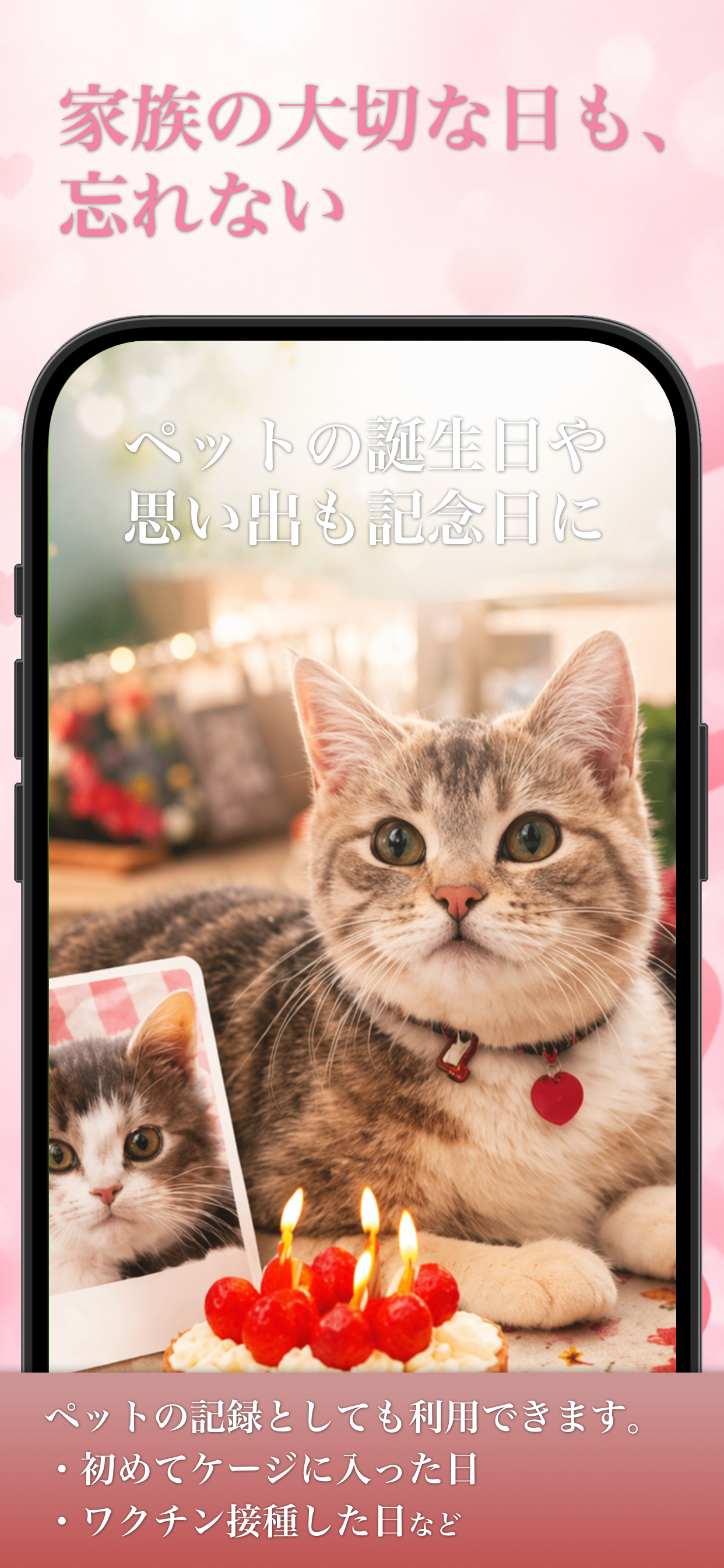 ペットの記念日のイメージ